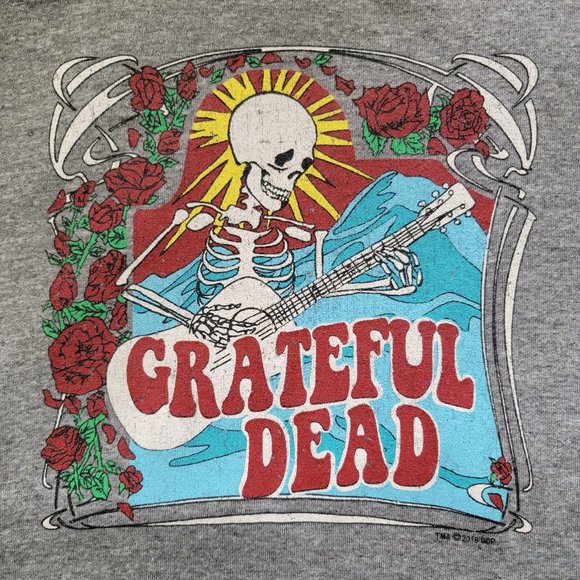 Chaser x Free People Grateful Dead Graphic Band Tee - Picture 9 of 15